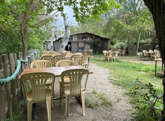 Fotoğraf 31