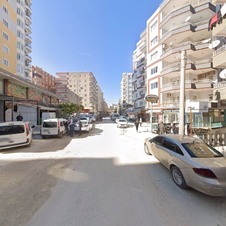 Fotoğraf 3