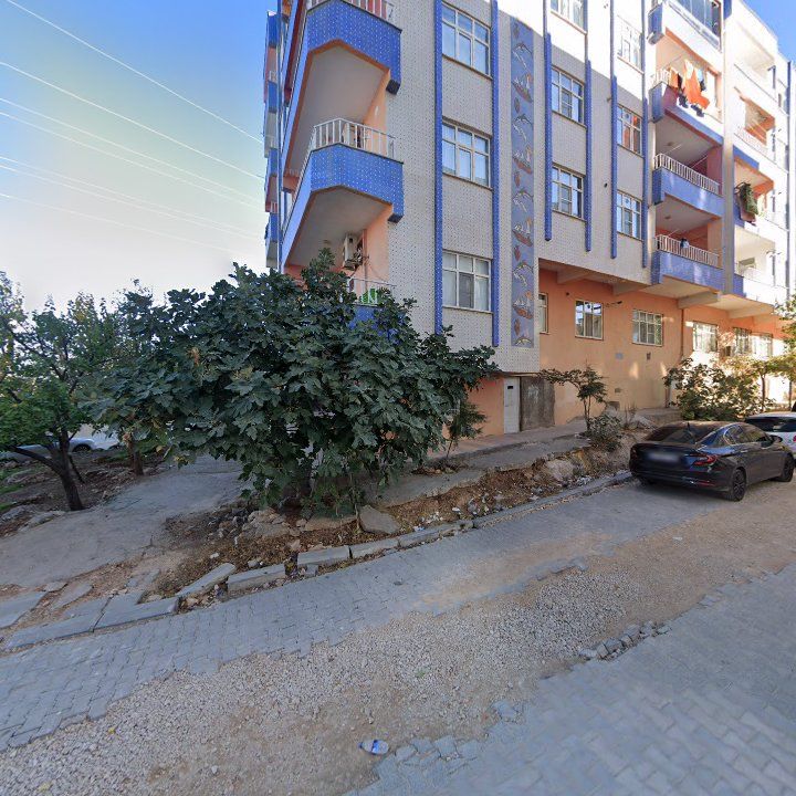 Fotoğraf 5