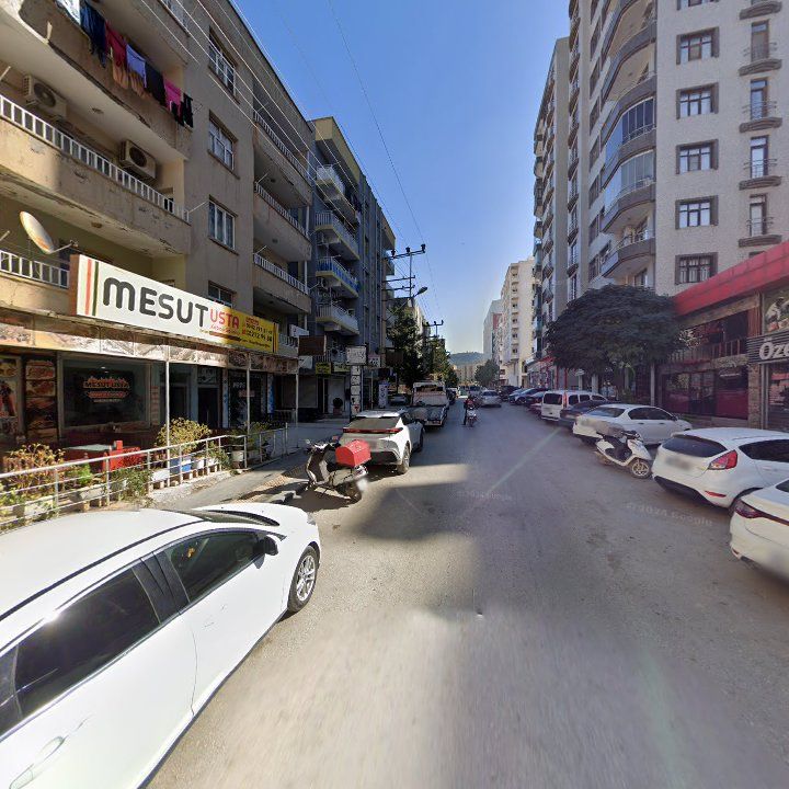 Fotoğraf 5