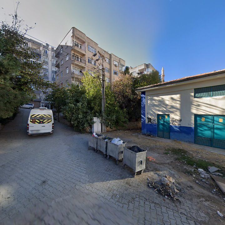Fotoğraf 3