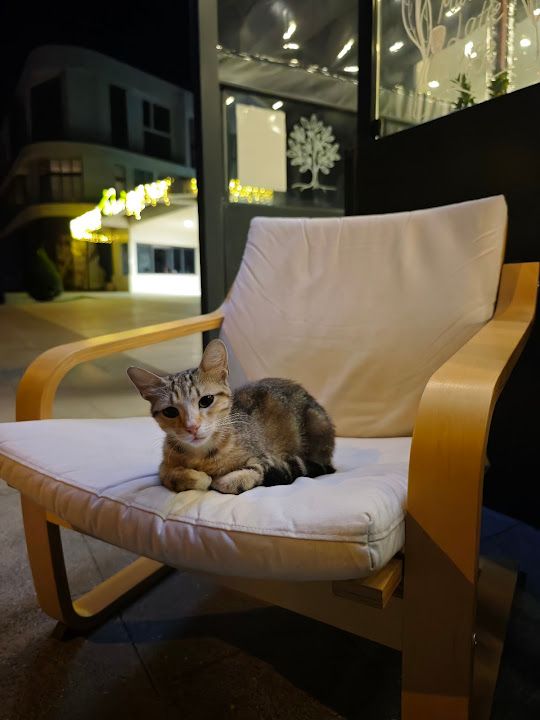 Yorum fotoğrafı 4