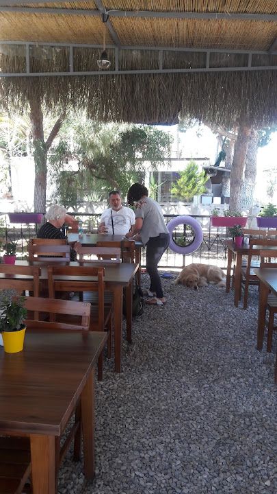 Fotoğraf 10