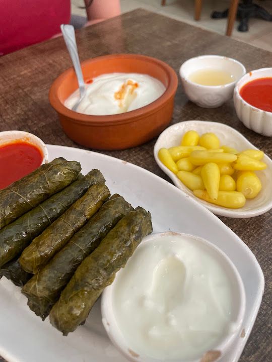 Fotoğraf 42