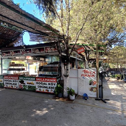 Fotoğraf 35