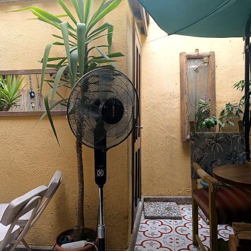 Fotoğraf 20