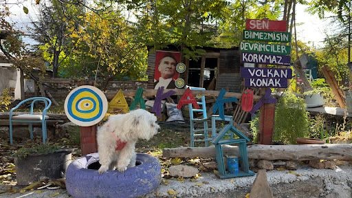 Yorum fotoğrafı 5