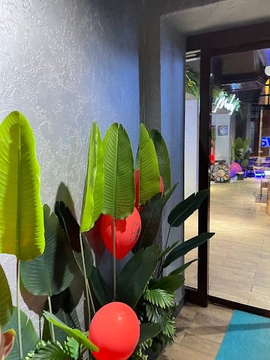Yorum fotoğrafı 8