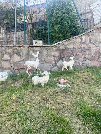 Yorum fotoğrafı 8