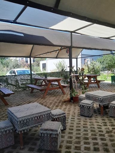 Fotoğraf 21