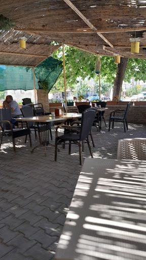 Fotoğraf 21