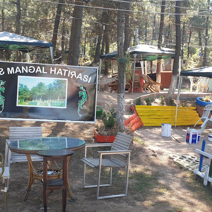 Fotoğraf 19
