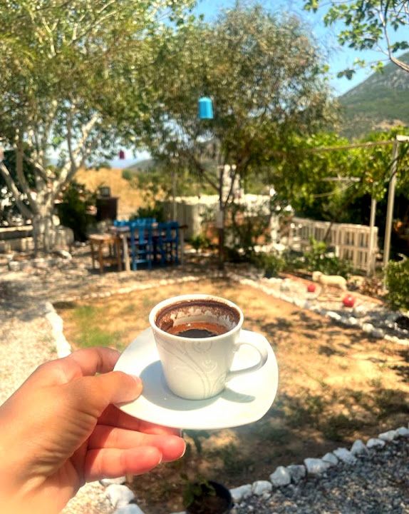 Fotoğraf 25