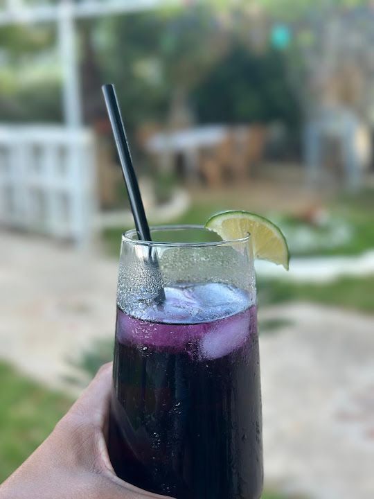 Fotoğraf 31