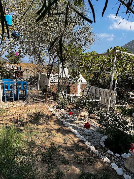 Fotoğraf 11