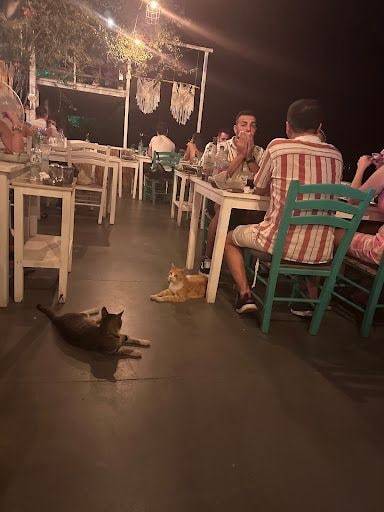 Yorum fotoğrafı 3