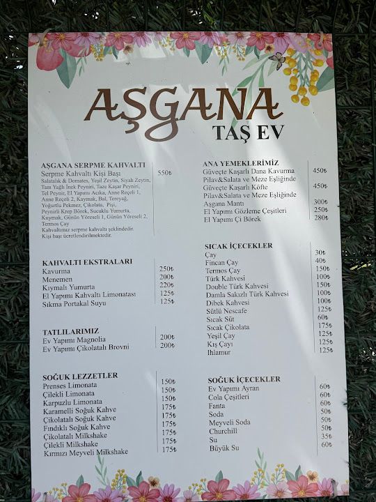 Fotoğraf 41