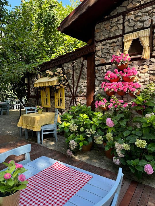 Fotoğraf 63