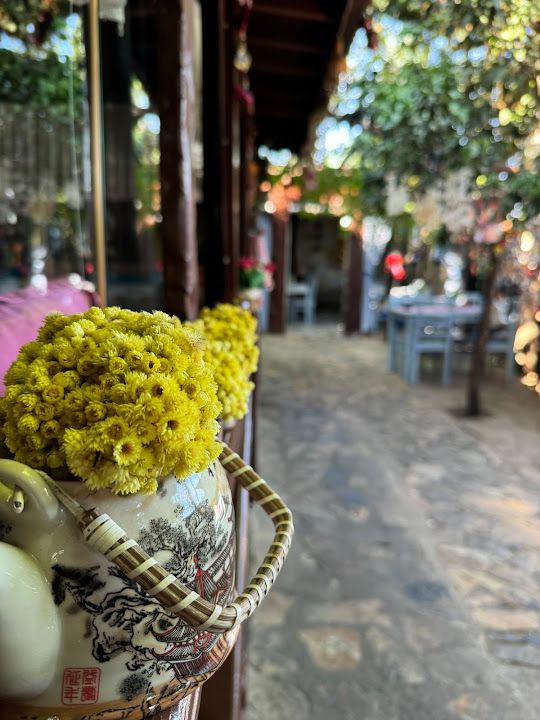 Fotoğraf 66