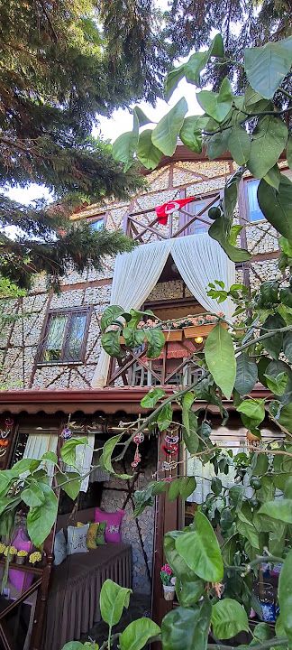 Fotoğraf 61
