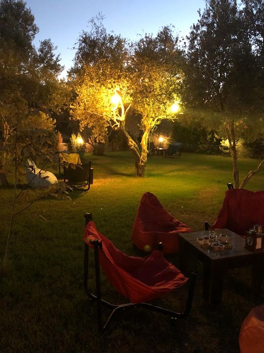 Yorum fotoğrafı 2