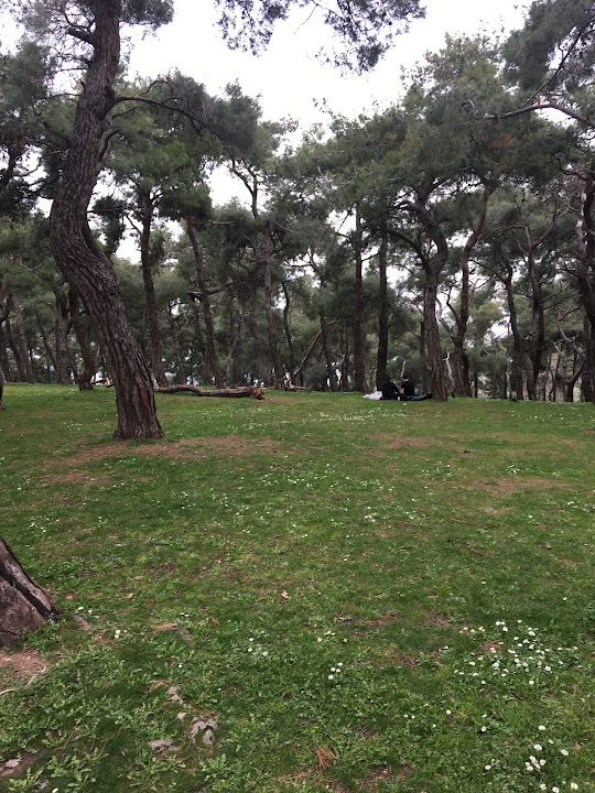 Fotoğraf 39