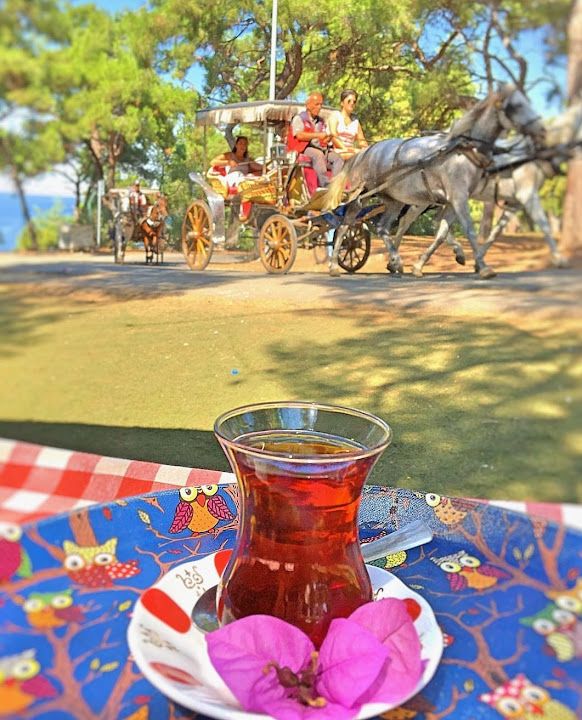 Fotoğraf 53