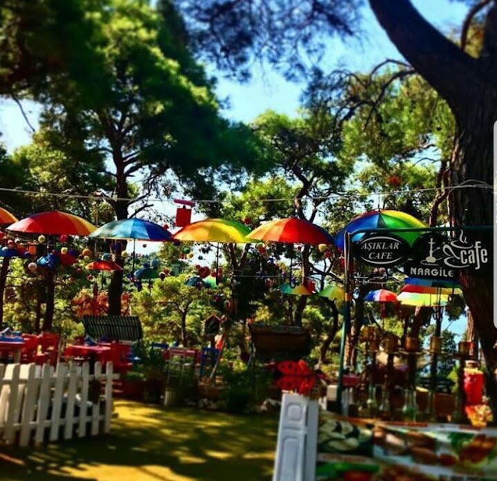 Fotoğraf 29