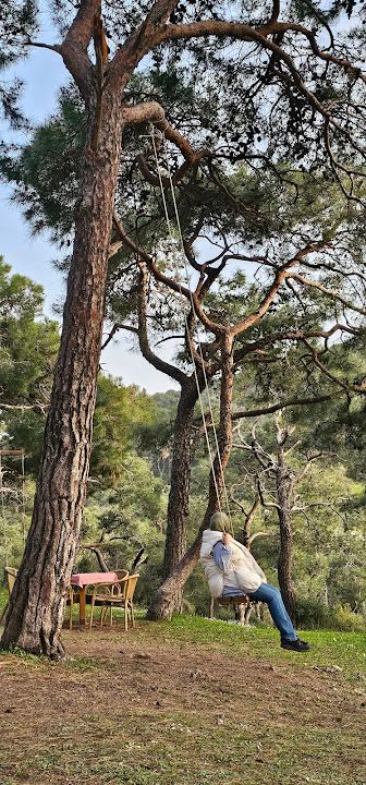 Fotoğraf 41