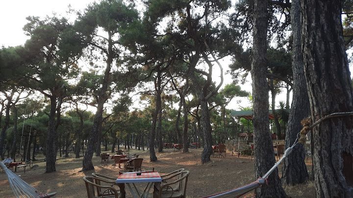 Fotoğraf 35