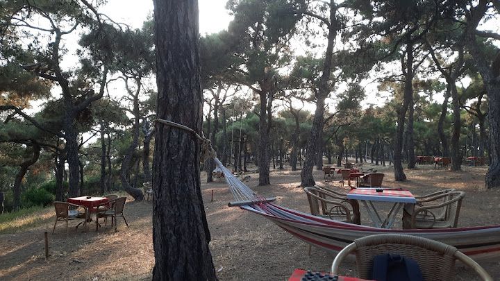 Fotoğraf 33