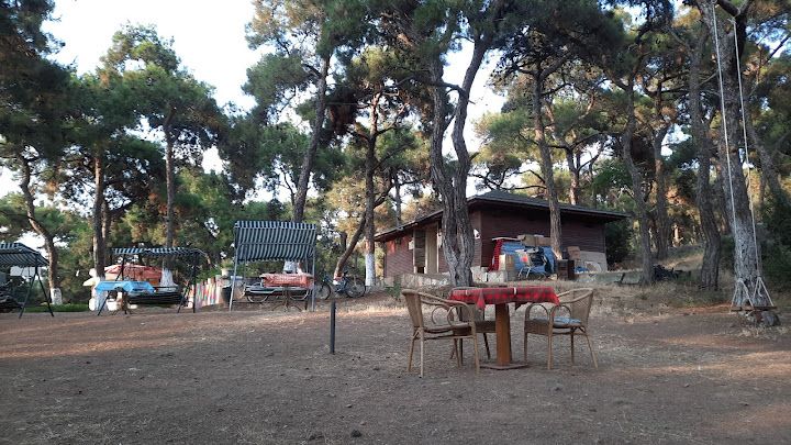 Fotoğraf 34