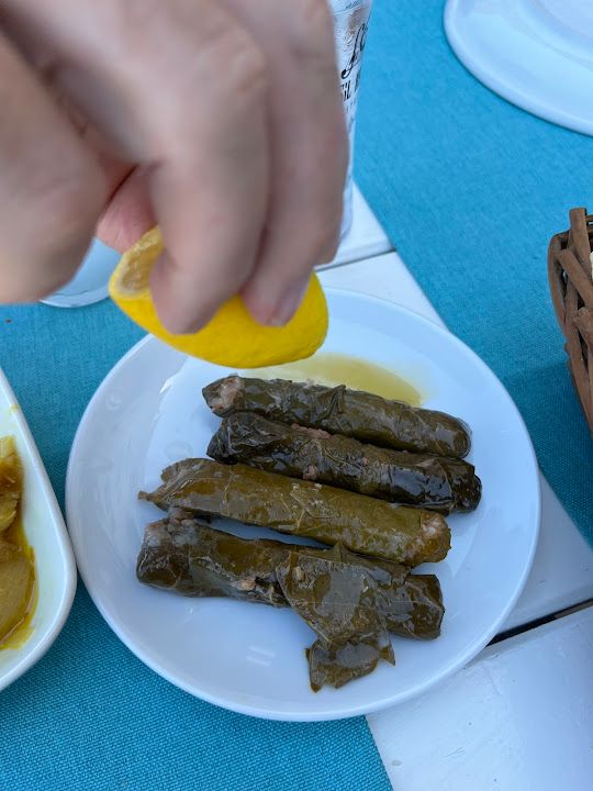 Fotoğraf 13