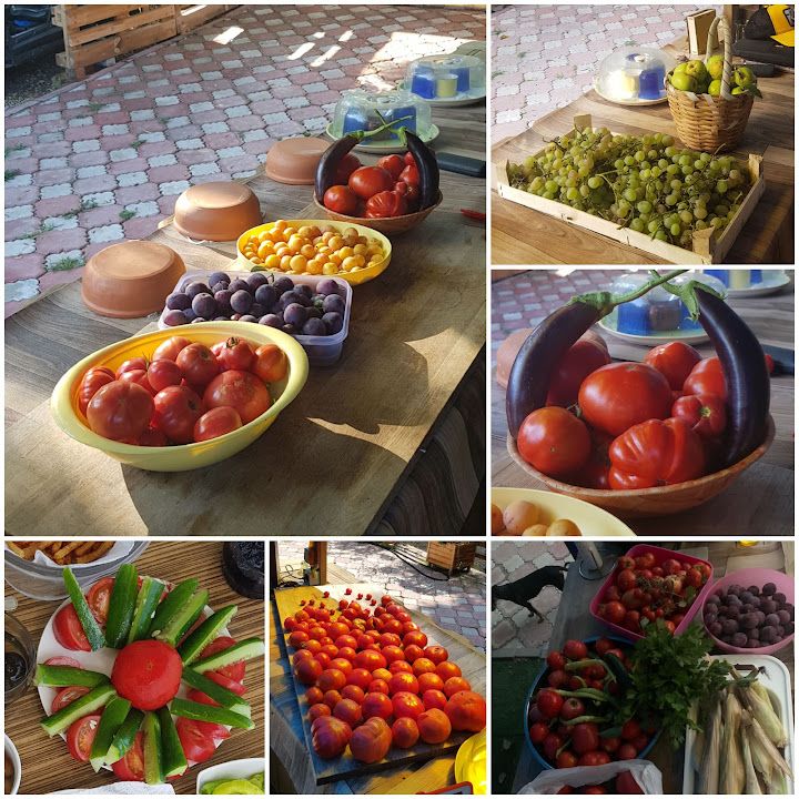 Fotoğraf 11