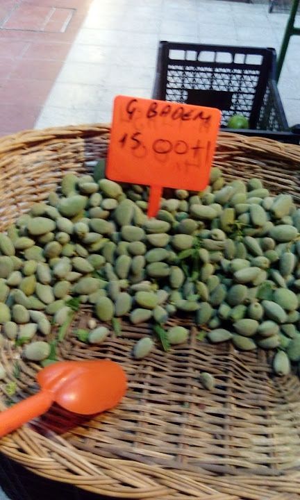Fotoğraf 13