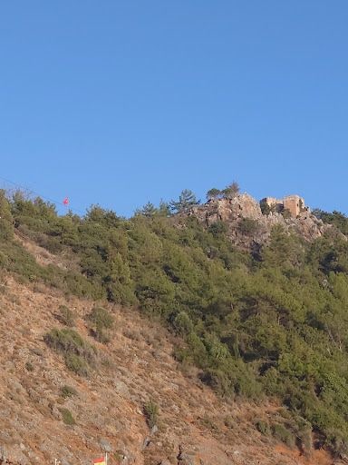 Yorum fotoğrafı 3