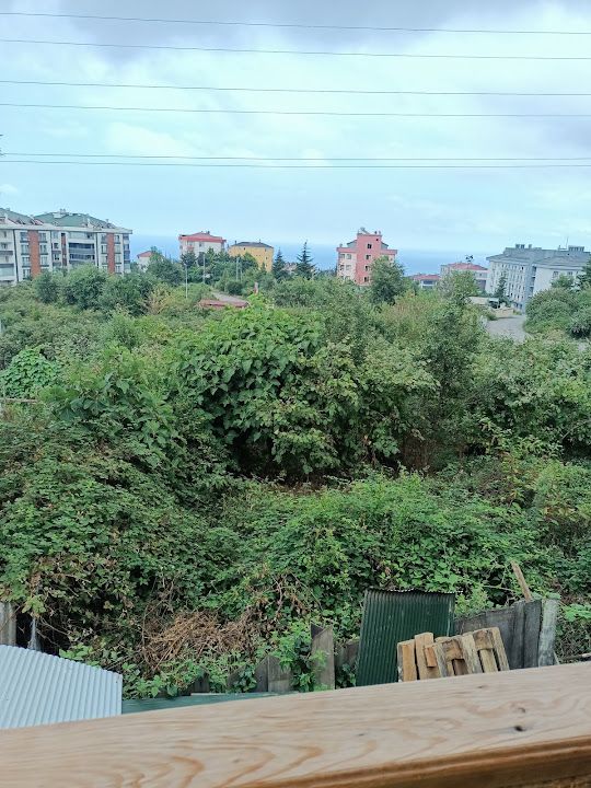 Yorum fotoğrafı 4