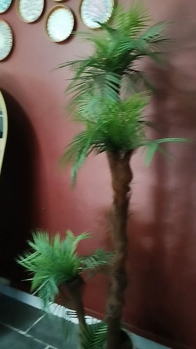 Fotoğraf 29