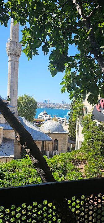 Fotoğraf 24
