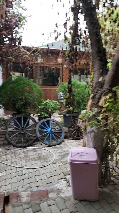 Fotoğraf 35