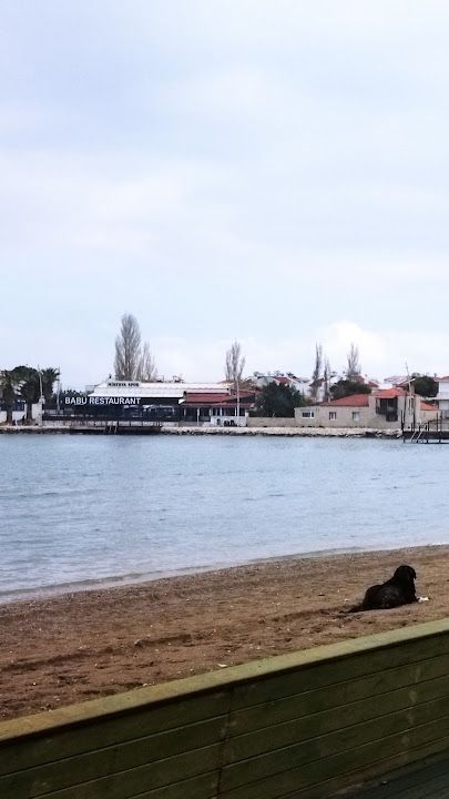 Yorum fotoğrafı 4