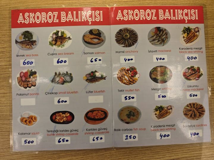 Fotoğraf 31