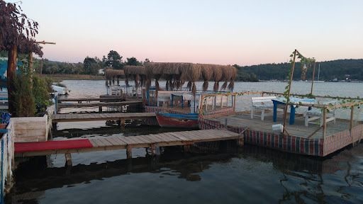 Fotoğraf 16