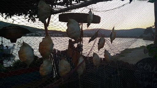 Fotoğraf 18