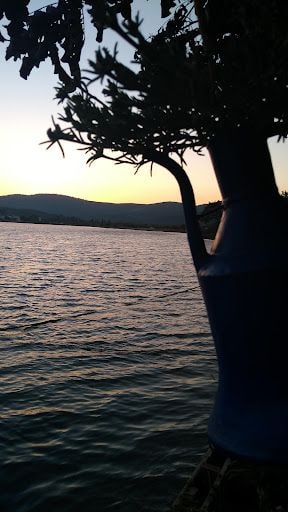 Fotoğraf 19