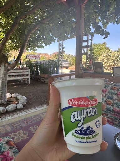 Yorum fotoğrafı 4