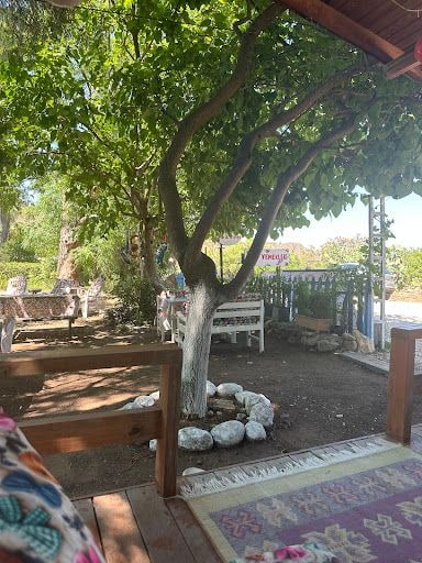 Yorum fotoğrafı 5