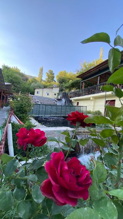 Yorum fotoğrafı 3
