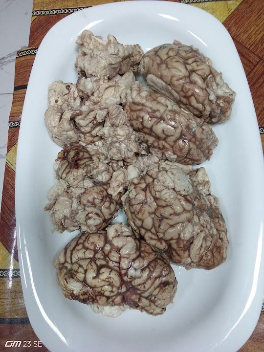 Fotoğraf 16