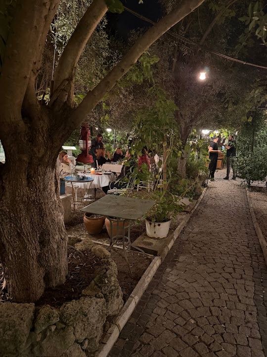Yorum fotoğrafı 4
